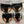 Load image into Gallery viewer, Classic Brief- Black Ribbed