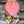 Load image into Gallery viewer, CXXS- Pink Princess Dream Leo