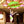 Load image into Gallery viewer, Glowing Lime- Classic Brief
