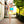 Load image into Gallery viewer, Lemon Yellow- Classic Brief