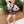 Load image into Gallery viewer, Child small- character cupcake, Autumn leo