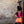 Load image into Gallery viewer, Neon Pink- Radiant Top