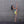 Load image into Gallery viewer, Lemon Yellow- Classic Brief
