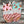 Load image into Gallery viewer, Gingerbread Twist- Pink Believe Leotard