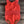 Load image into Gallery viewer, Coral ribbed believe leotard