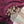 Load image into Gallery viewer, Adult Medium- Contemporary/Lyrical Costume